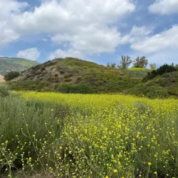 Aliso Canyon Park - Porter Ranch