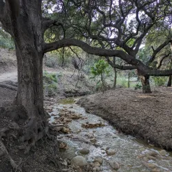 Aliso Canyon Park - Porter Ranch