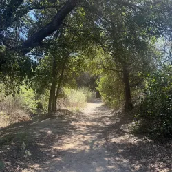 Aliso Canyon Park - Porter Ranch