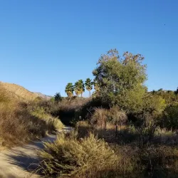 Aliso Canyon Park - Porter Ranch