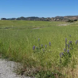 Chatsworth Reservoir - Porter Ranch
