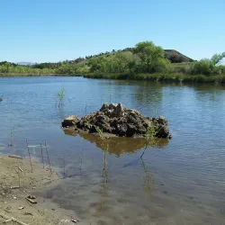 Chatsworth Reservoir - Porter Ranch