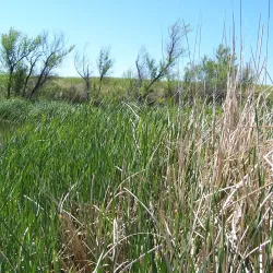 Chatsworth Reservoir - Porter Ranch