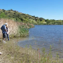 Chatsworth Reservoir - Porter Ranch