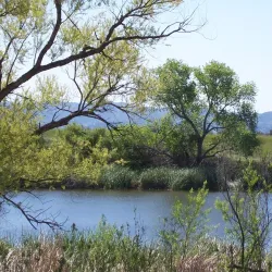Chatsworth Reservoir - Porter Ranch