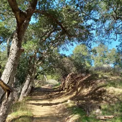 Michael D. Antonovich Regional Park at Joughin Ranch - Porter Ranch