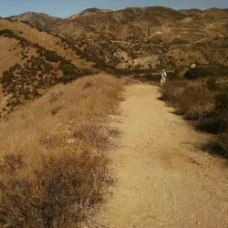 Michael D. Antonovich Regional Park at Joughin Ranch - Porter Ranch