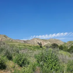 O'Melveny Park - Porter Ranch