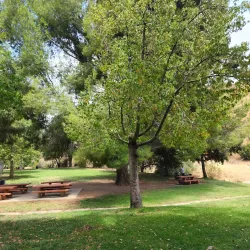 O'Melveny Park - Porter Ranch