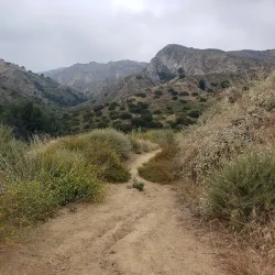 O'Melveny Park - Porter Ranch