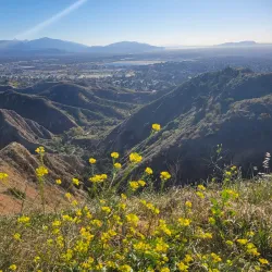 O'Melveny Park - Porter Ranch