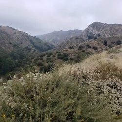 O'Melveny Park - Porter Ranch