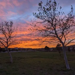 Porter Ranch Community Center - Porter Ranch