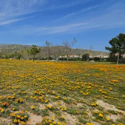 Porter Ranch Community Center - Porter Ranch