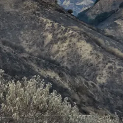 Porter Ridge Park - Porter Ranch