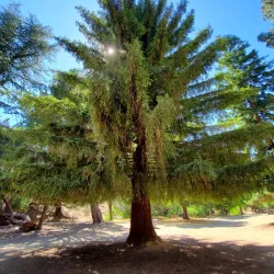 San Fernando Valley State Park - Porter Ranch