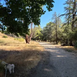 San Fernando Valley State Park - Porter Ranch