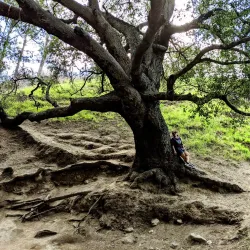San Fernando Valley State Park - Porter Ranch