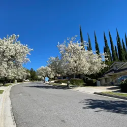 Santa Susana Mountains - Porter Ranch