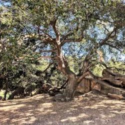 Santa Susana Pass State Historic Park - Porter Ranch