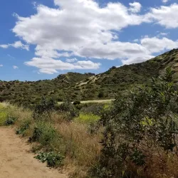 Santa Susana Pass State Historic Park - Porter Ranch