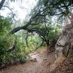 Santa Susana Pass State Historic Park - Porter Ranch