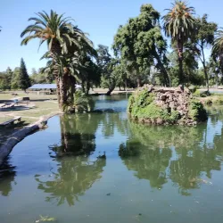 Mooney Grove Park - Porterville