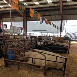 Porterville Fairgrounds - Porterville