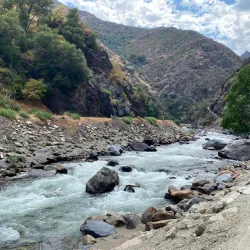 Sequoia National Forest (nearby) - Porterville