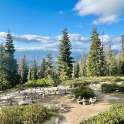 Sequoia National Forest (nearby) - Porterville