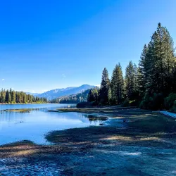 Sequoia National Forest (nearby) - Porterville