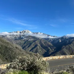 Sequoia National Forest (nearby) - Porterville