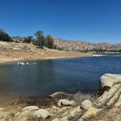 Sequoia National Forest (nearby) - Porterville