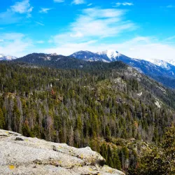 Sequoia National Forest (nearby) - Porterville