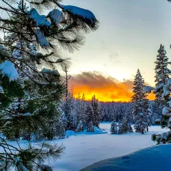 Sequoia National Forest (nearby) - Porterville