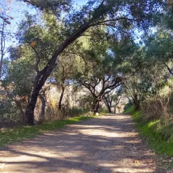 Blue Sky Ecological Reserve - Poway