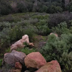 Blue Sky Ecological Reserve - Poway