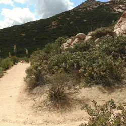 Iron Mountain Trail - Poway
