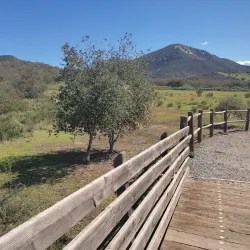 Iron Mountain Trail - Poway