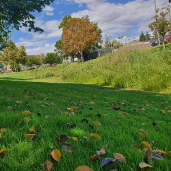 Poway Community Park - Poway