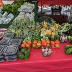 Poway Farmers Market - Poway