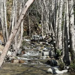 Etiwanda Falls Trail - Rancho Cucamonga