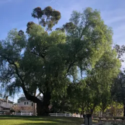 John R. Via Park - Rancho Cucamonga