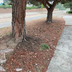 Pacific Electric Trail - Rancho Cucamonga