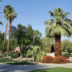 Civic Center Park - Rancho Mirage