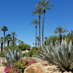 Desert Horizons Park - Rancho Mirage