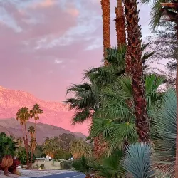 Rancho Mirage Community Park - Rancho Mirage