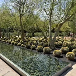 Sunnylands Center & Gardens - Rancho Mirage