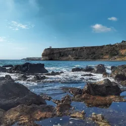 Abalone Cove Shoreline Park - Rancho Palos Verdes