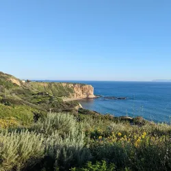 Abalone Cove Shoreline Park - Rancho Palos Verdes